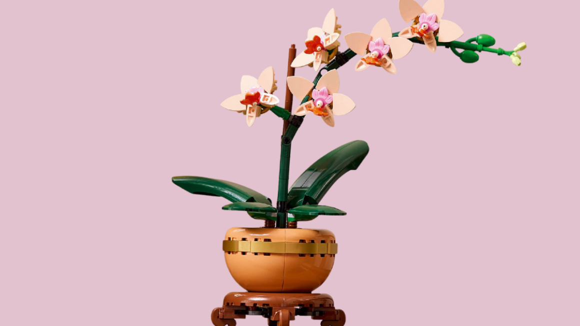 decor-tet-toi-gian-sang-trong-hoa-lan-lego